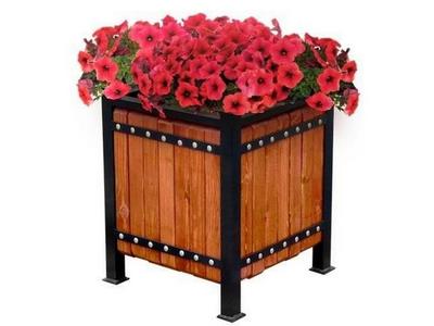 Цветочница парковая Кипрей 4