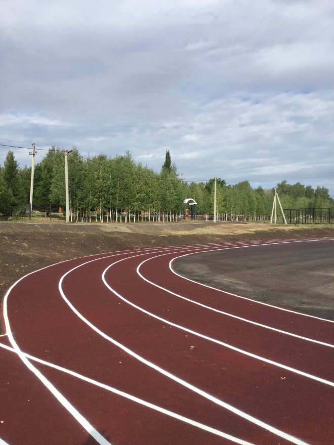 Бесшовное резиновое покрытие TORUDA Eco Sport Standart с укладкой - вид 2