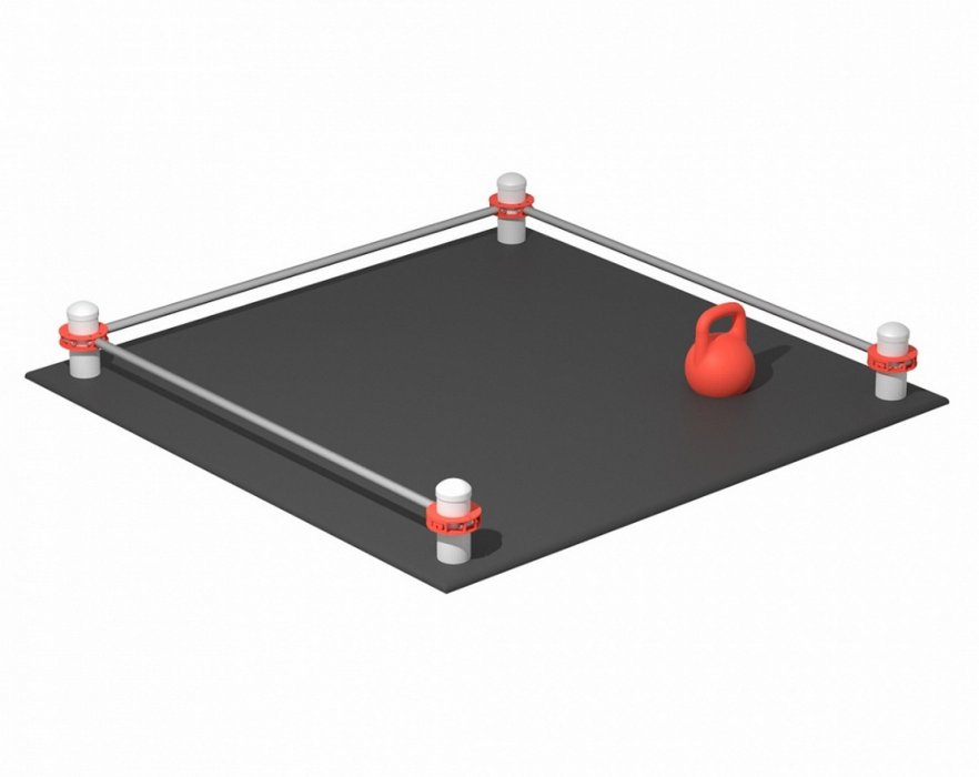 Комплекс для выполнения испытания «Рывок гири 16 кг»  S723