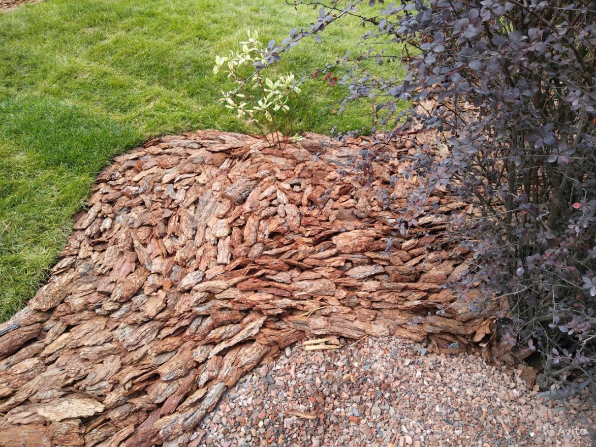 Кора сибирской лиственницы средняя 2-5 см - вид 2