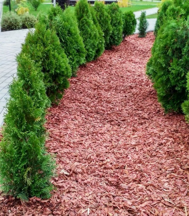 Кора сибирской лиственницы мелкая 1-3 см - вид 2