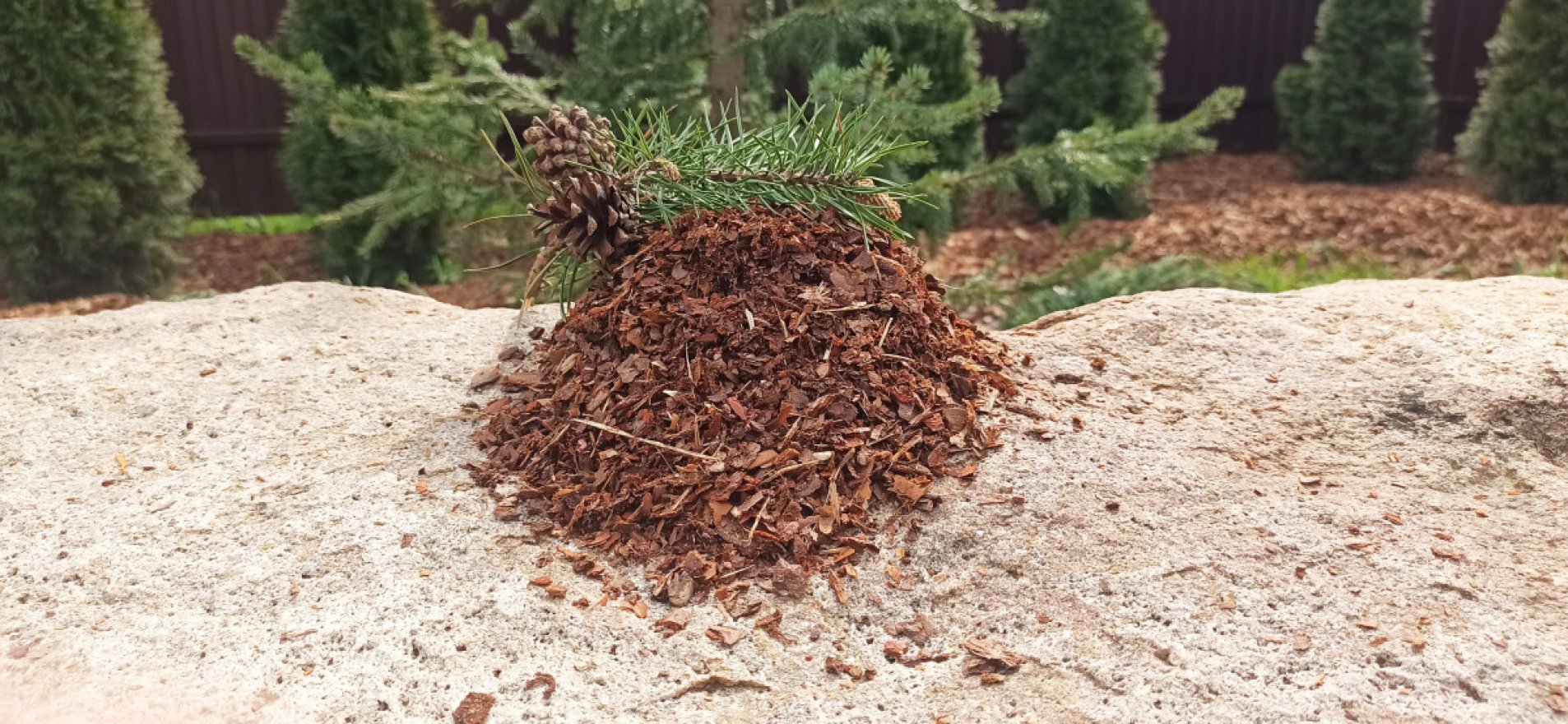 Кора сосны гумус 1 см - вид 2