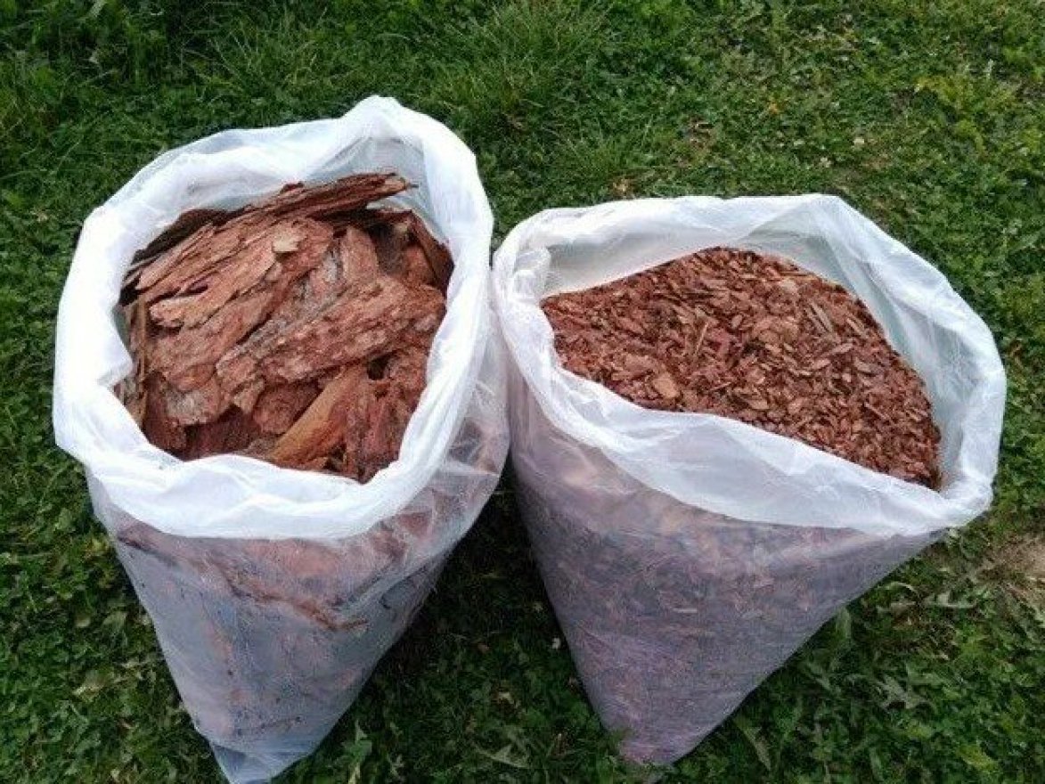 Кора сосны крупная 5-10 см - вид 2