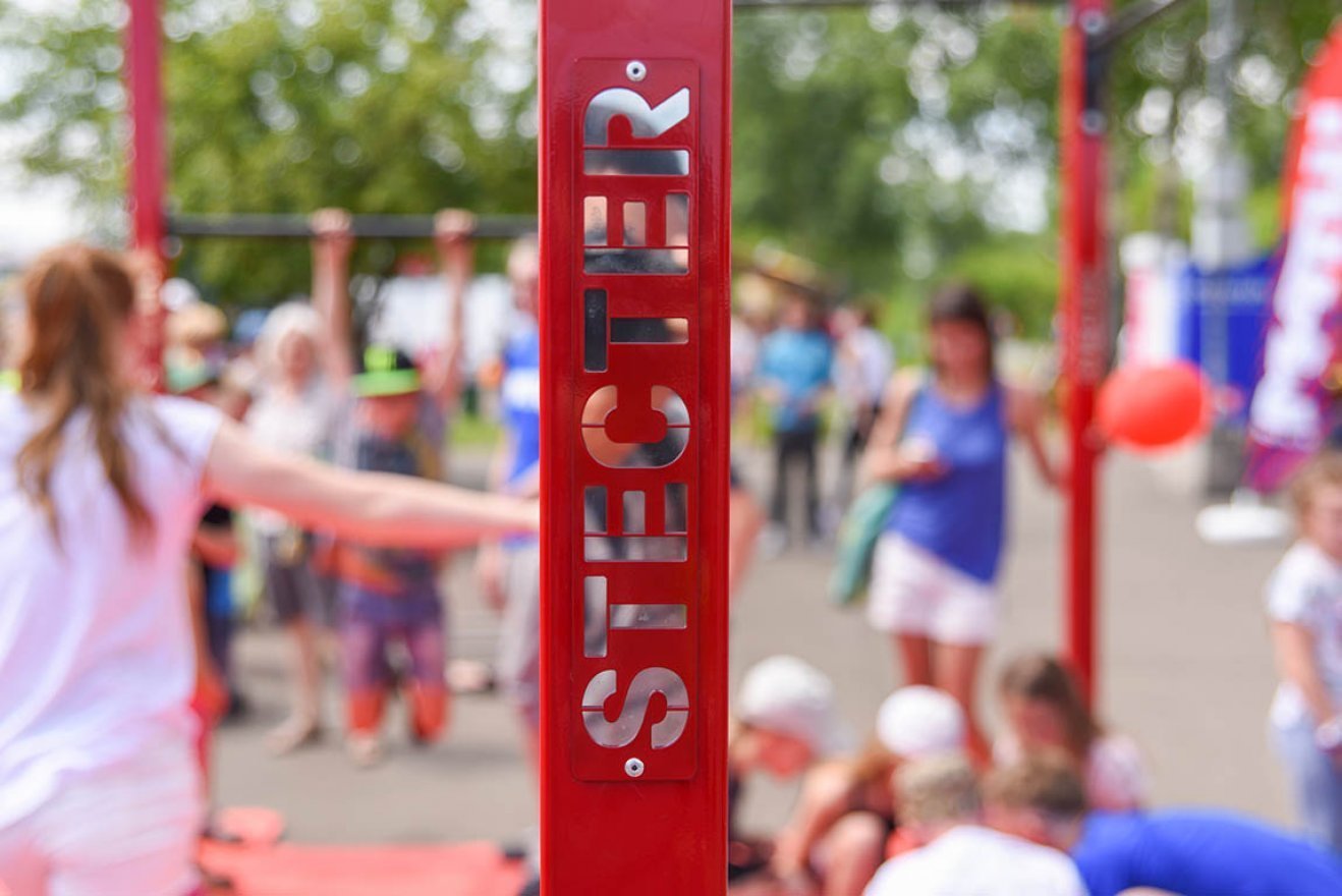 Мобильный комплекс для Воркаут и ГТО Стандарт-5 - вид 2